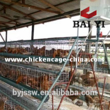 Automatic Chicken Cage Poultry Farm